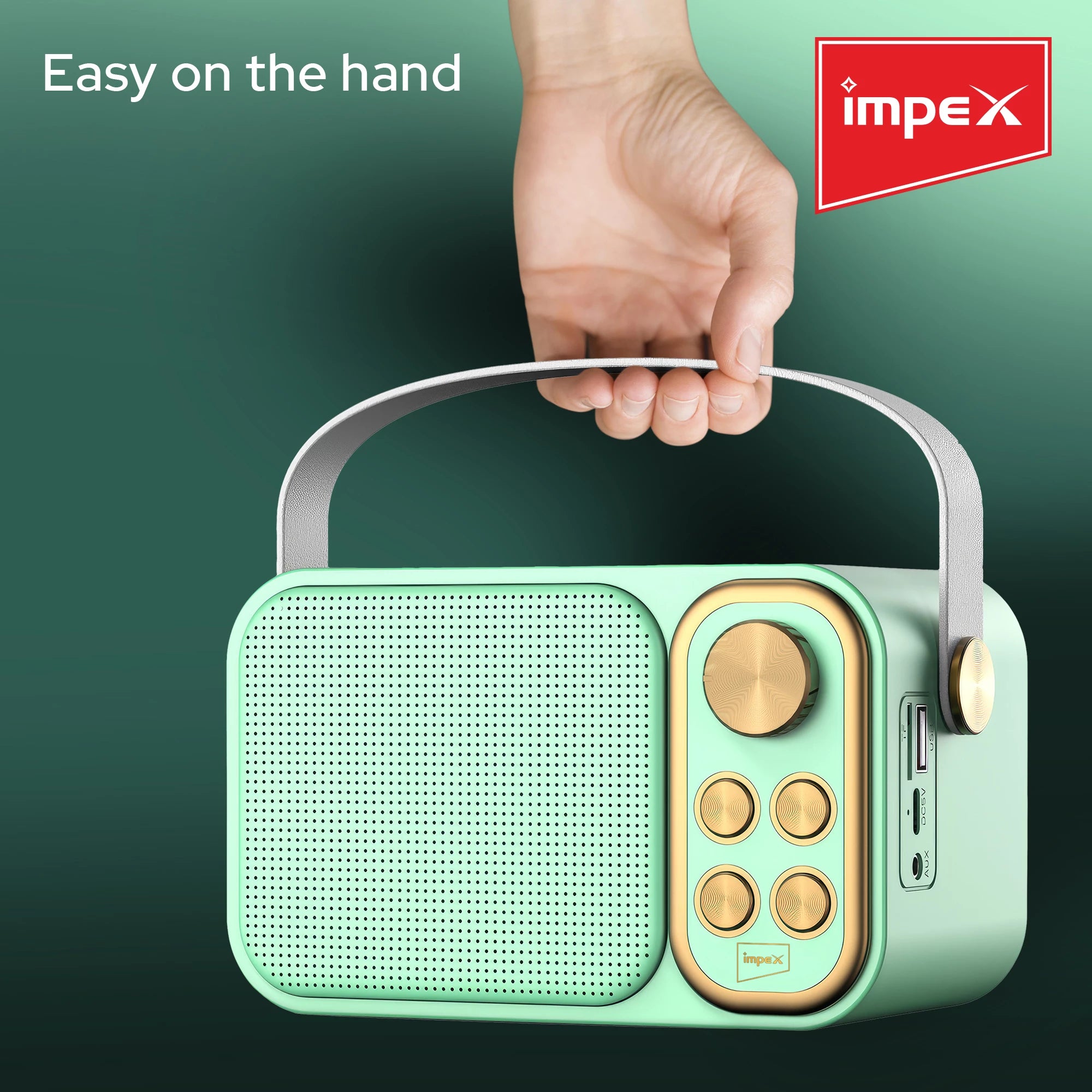 Impex Portable Bluetooth Karaoke Speaker KM 1302