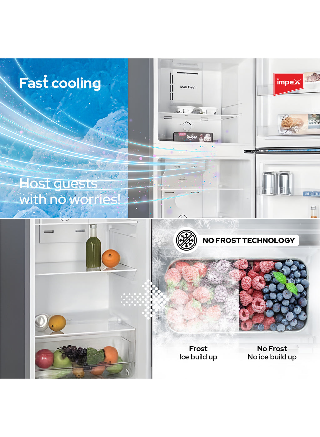 Impex 270L No Frost Inverter Refrigerator IRF250S